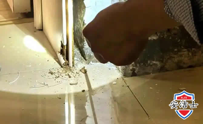 柯城区房屋建筑防治白蚁