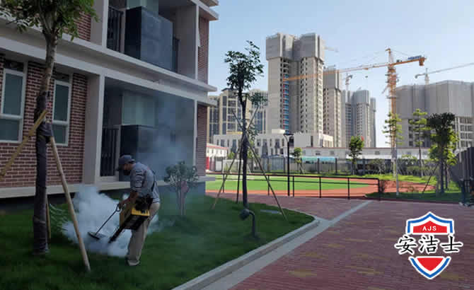 柯城区工厂工地除白蚁