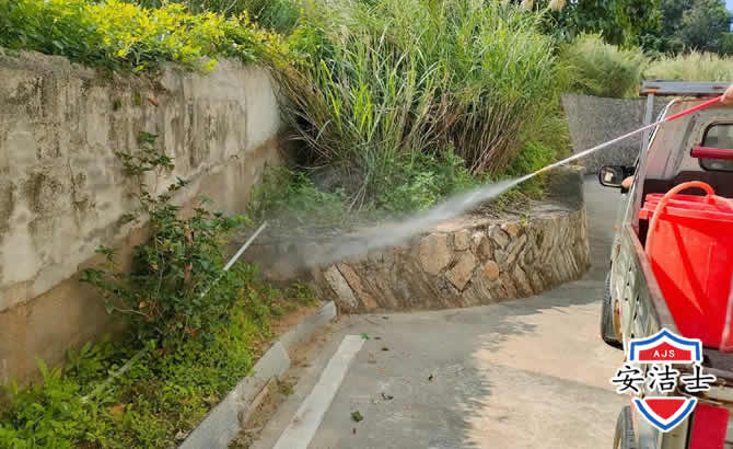 柯城区道路堤坝白蚁防治
