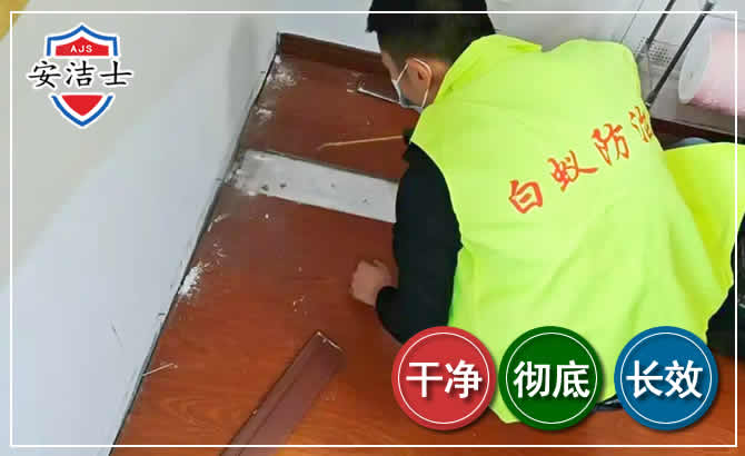 柯城区除四害现场