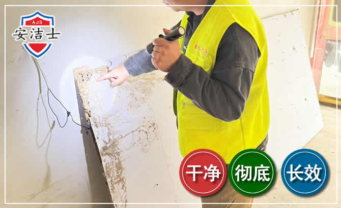 柯城区除白蚁现场