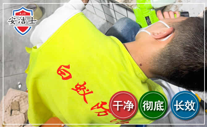 柯城区白蚁根治现场